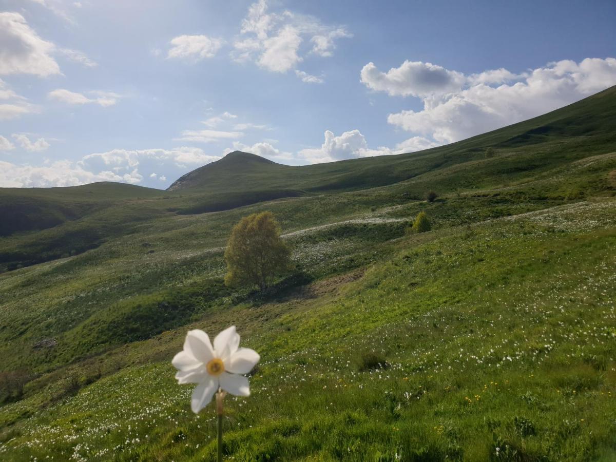 Appartement A La Montagne Villar-dʼArène Zewnętrze zdjęcie